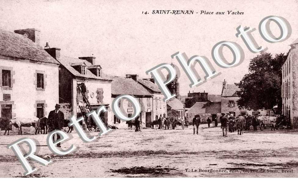place aux vaches