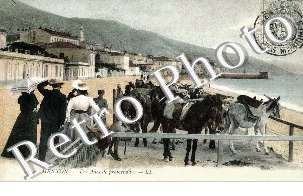 LES ANES DE PROMENADE
