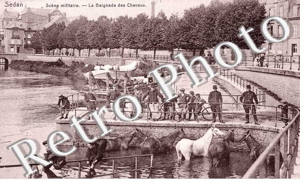 LA BAIGNADE DES CHEVAUX