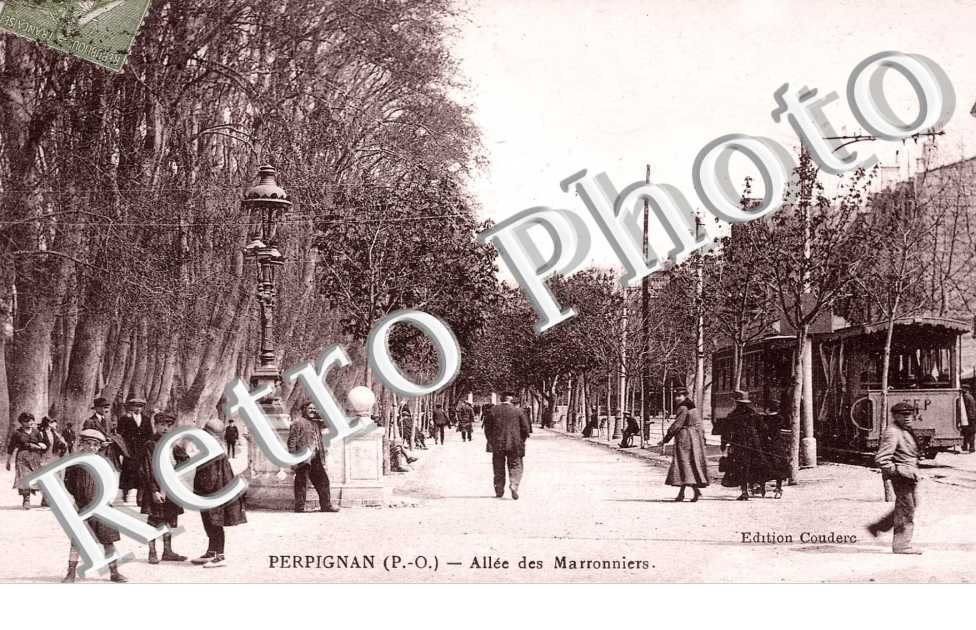Allee des Marronniers