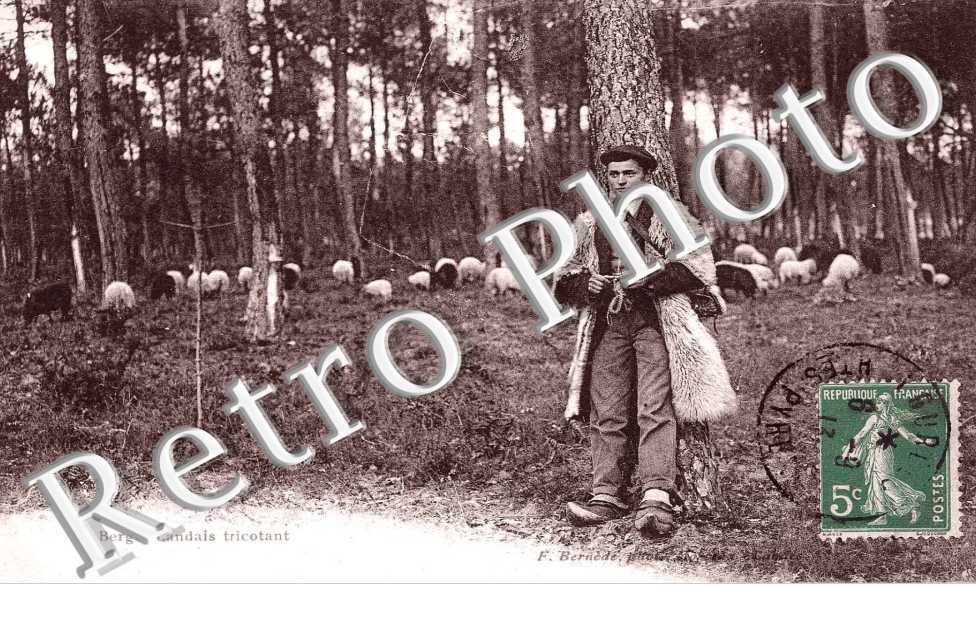berger landais tricotant