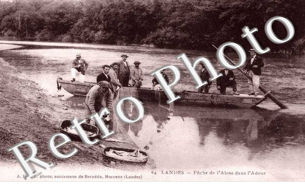 peche de l&#039;alose dans l&#039;adour