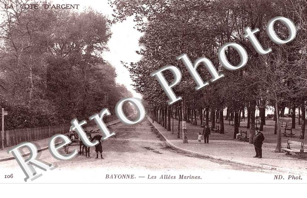 Les Allées Marines