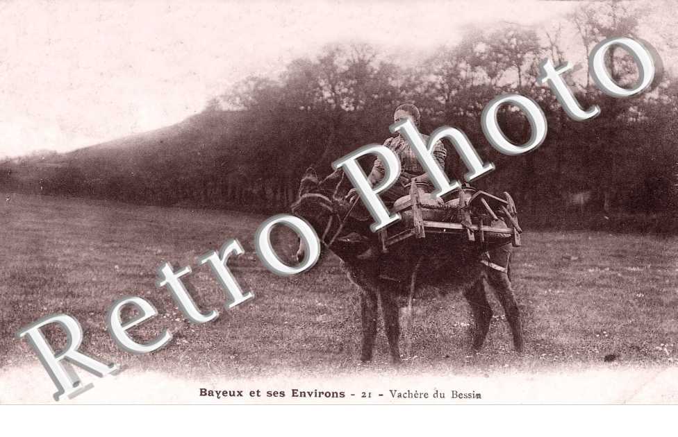 VACHERE DU BESSIN