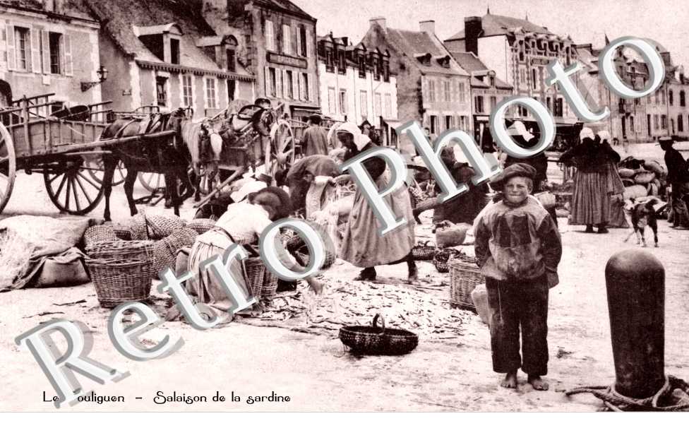 salaison de la sardine