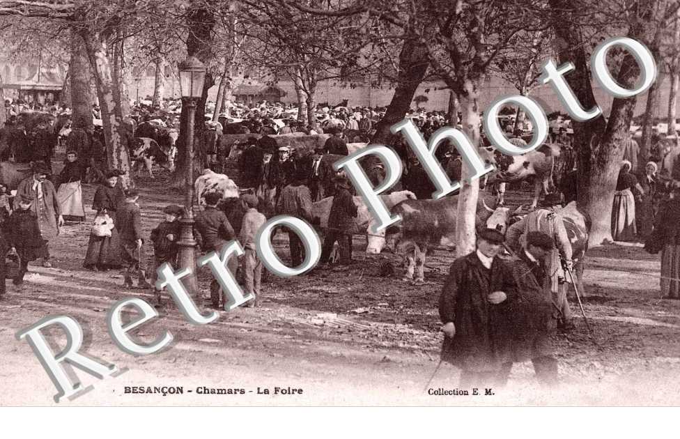 Chamars, la foire