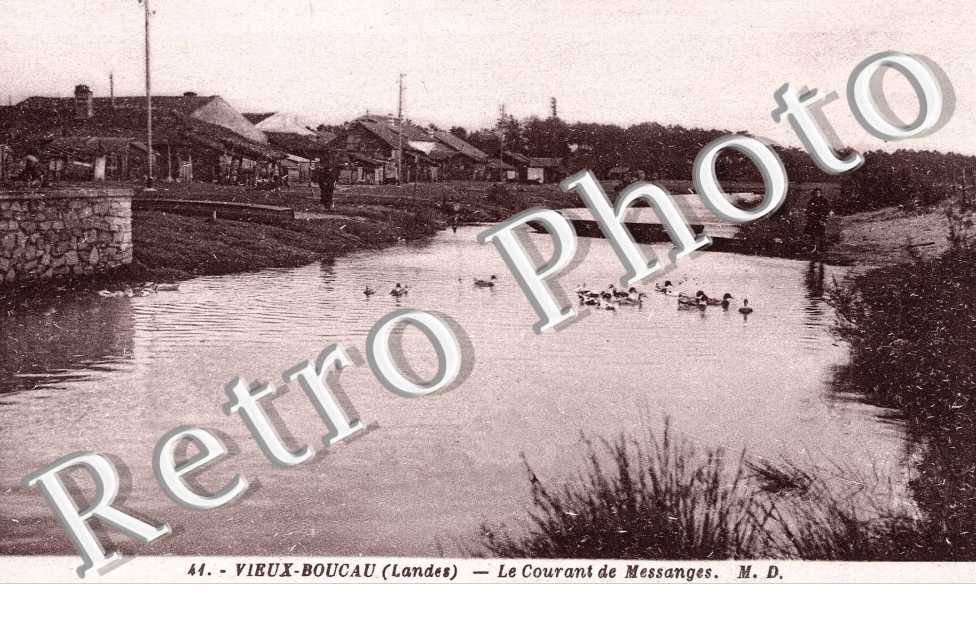 Le courant de Messanges