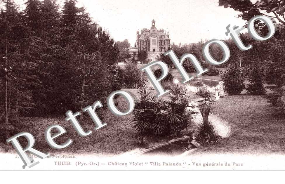Château Violet - Villa Palauda