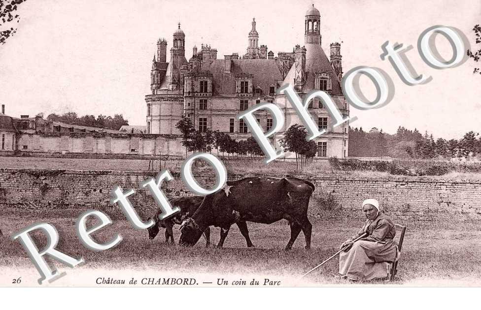 Un Coin du Parc