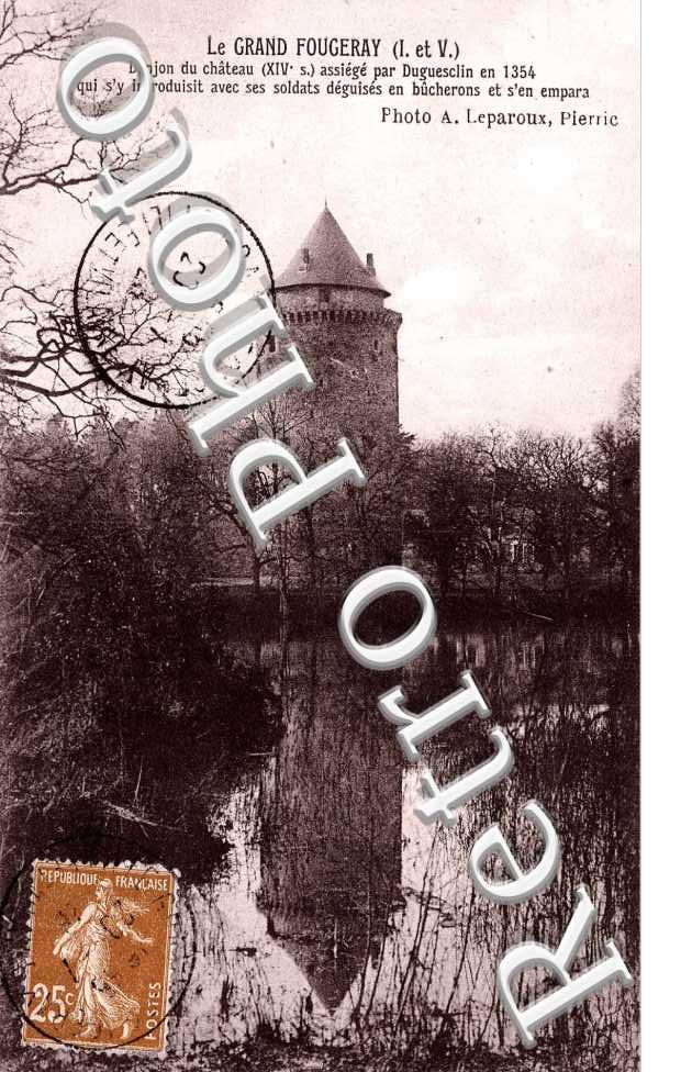 Donjon du Chateau