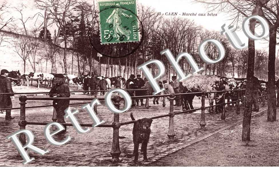 marche aux betes