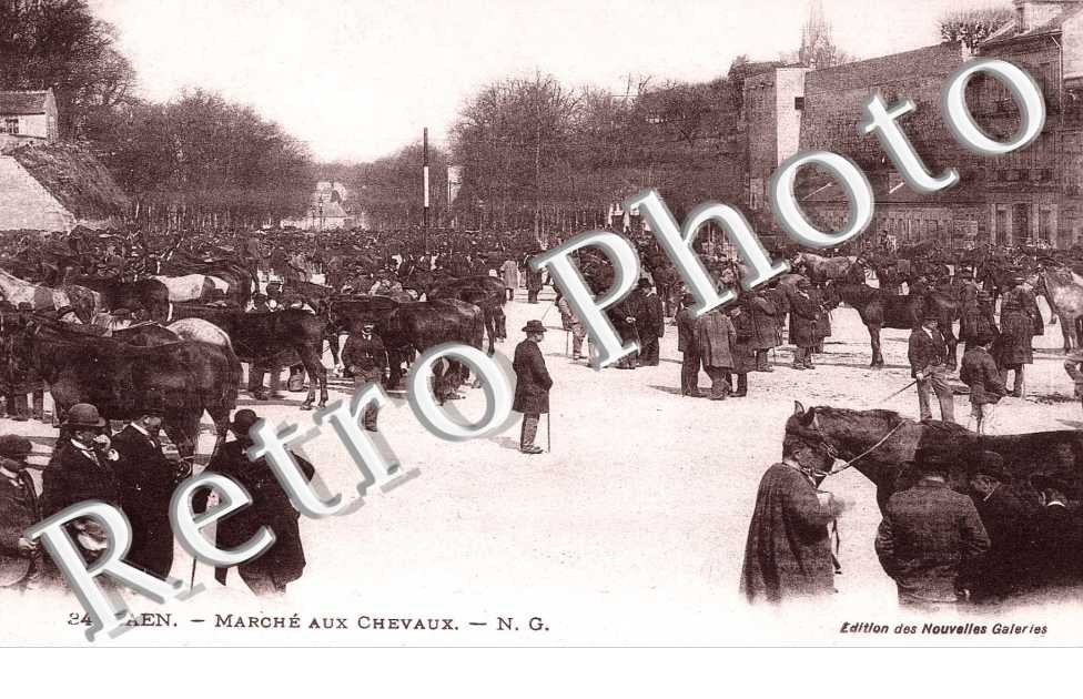 marche aux chevaux