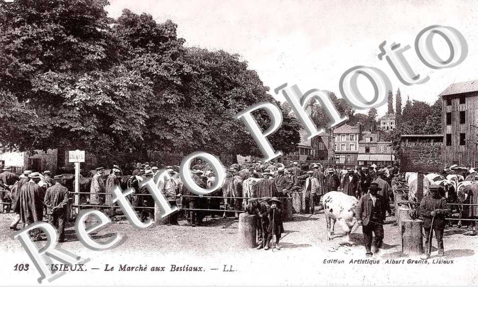 le marche aux bestiaux