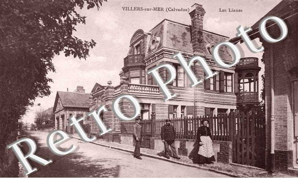 les Lianes