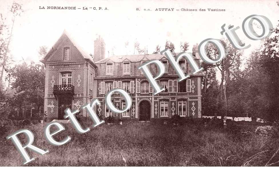 Chateau des Vastines