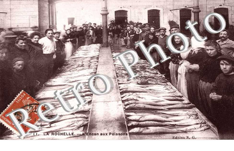 l'encan aus Poissons