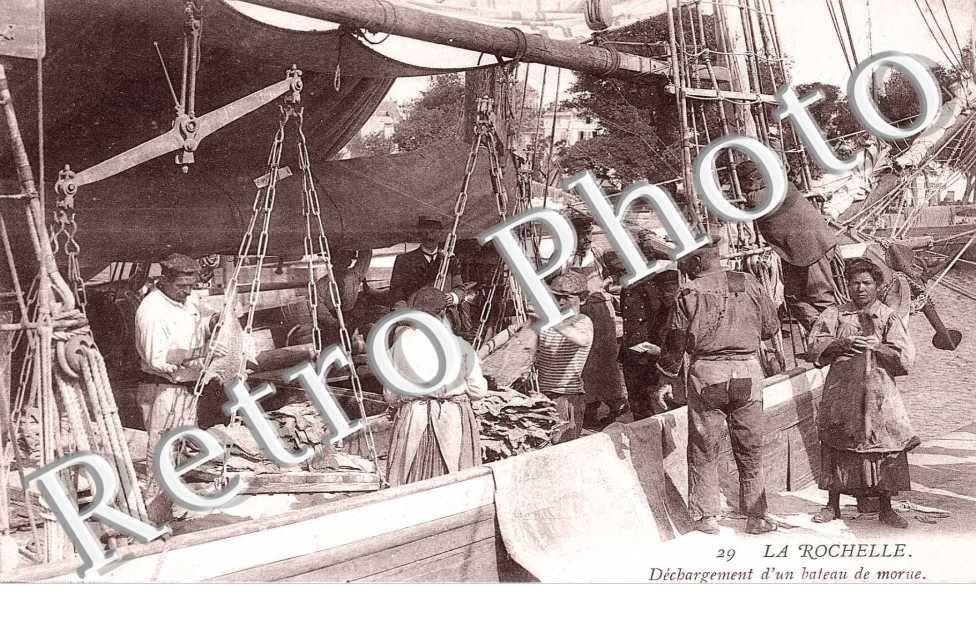 Dechargement d'un bateau de morue