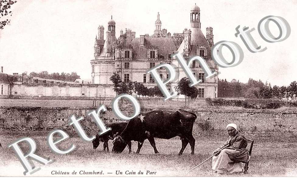 Vaches, chateau, vue generale