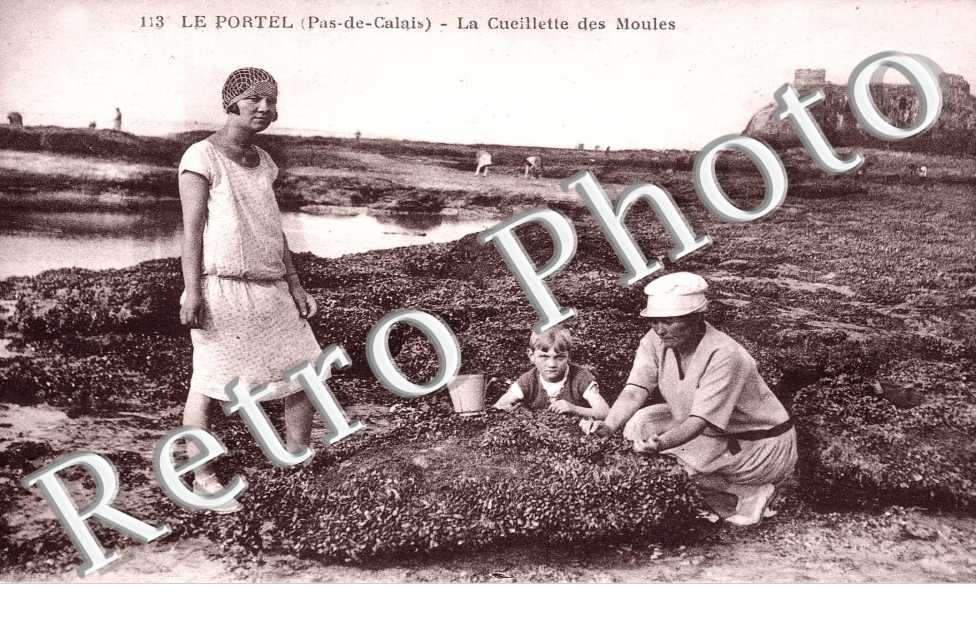 La cueillette des moules