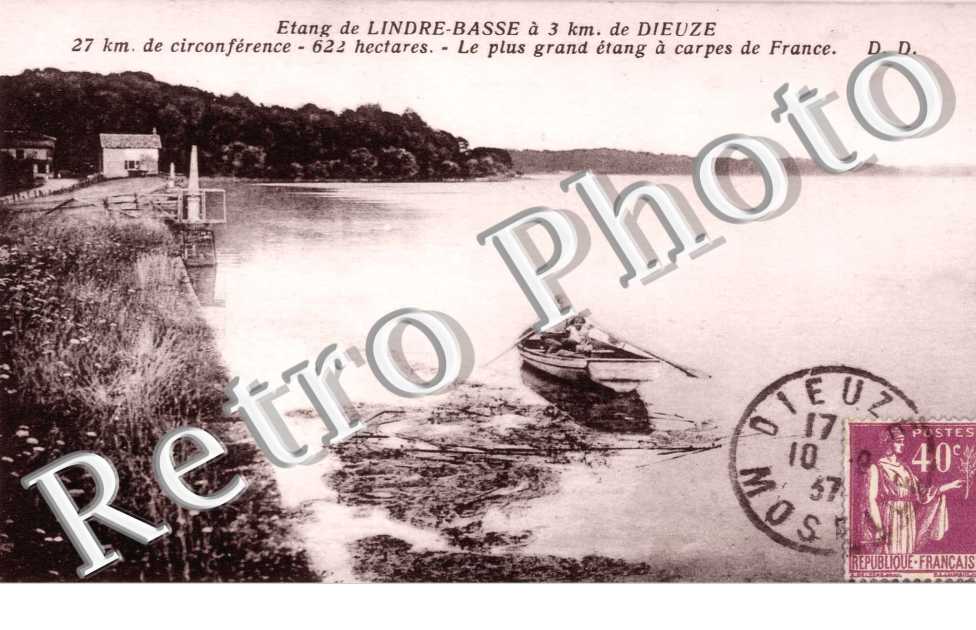 Le Plus Grand Etang à Carpes de France