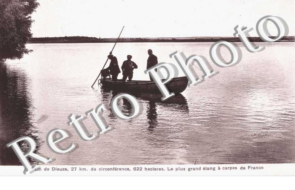 Etang de Lindre-basse