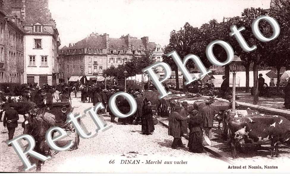 marche aux vaches