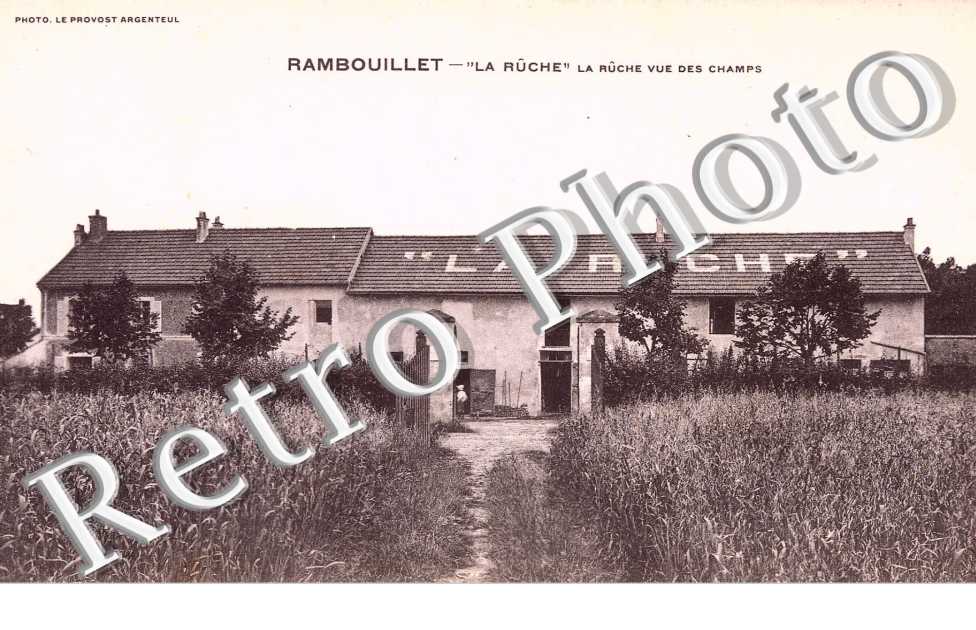 LA RUCHE VUE DES CHAMPS