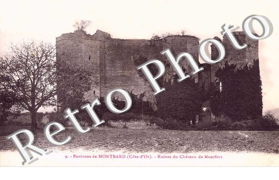 CHATEAU DE MONTBARD