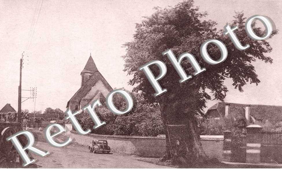 L&#039;eglise et le gros orme