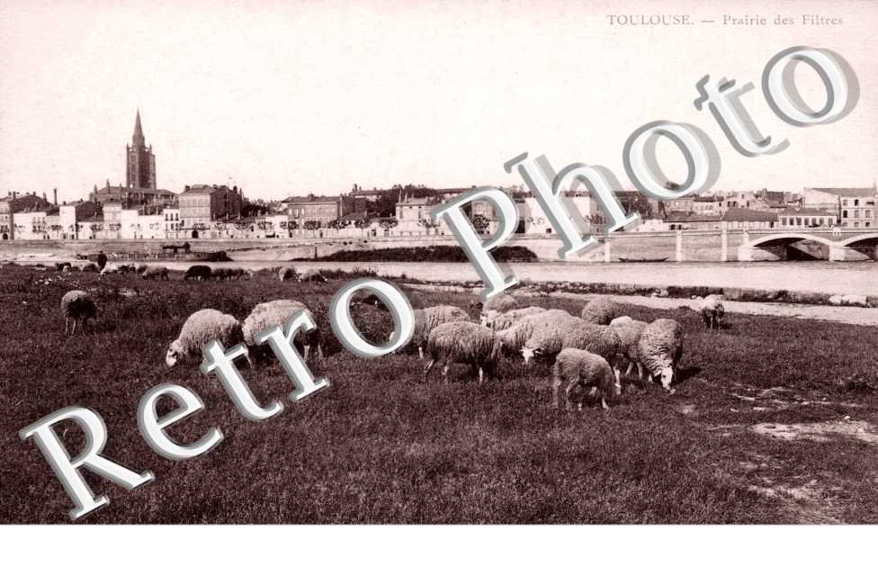 Prairie des Filtres