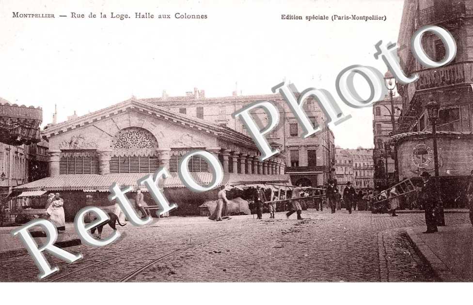 La rue de la loge - halle aux colonnes