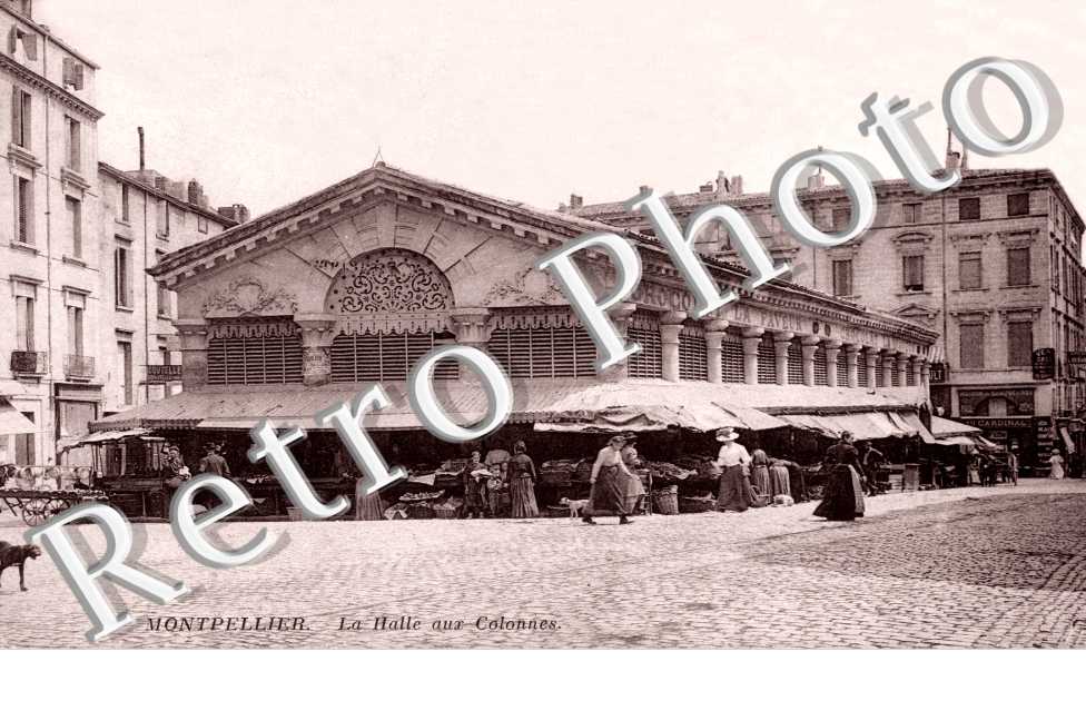 LA HALLE AUX COLONNES