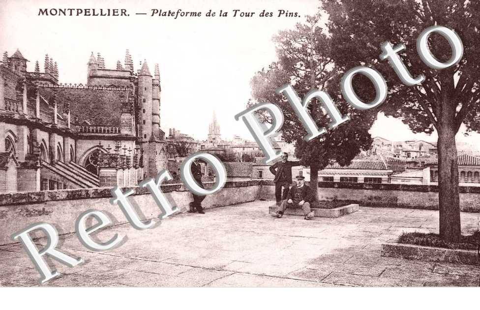 PLATEFORME DE LA TOUR DES PINS