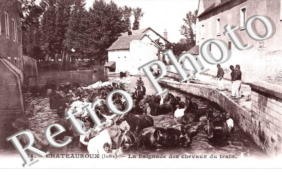 la baignade des cheveaux du train