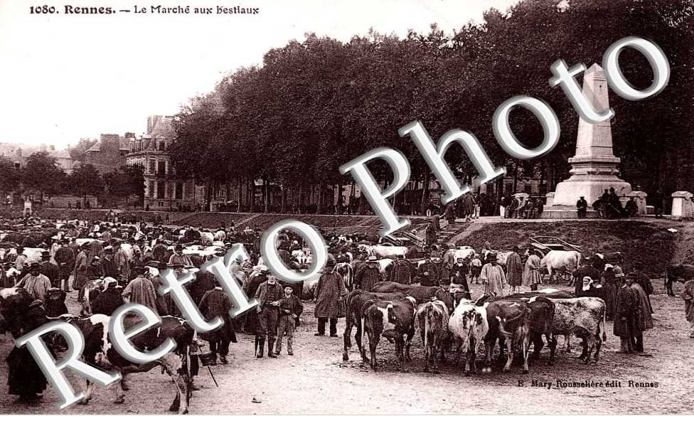 le marche aux bestiaux