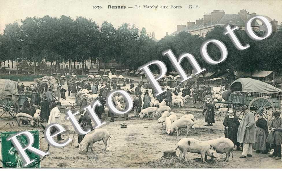 le marche aux porcs