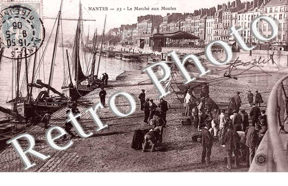 LE MARCHE AUX MOULES