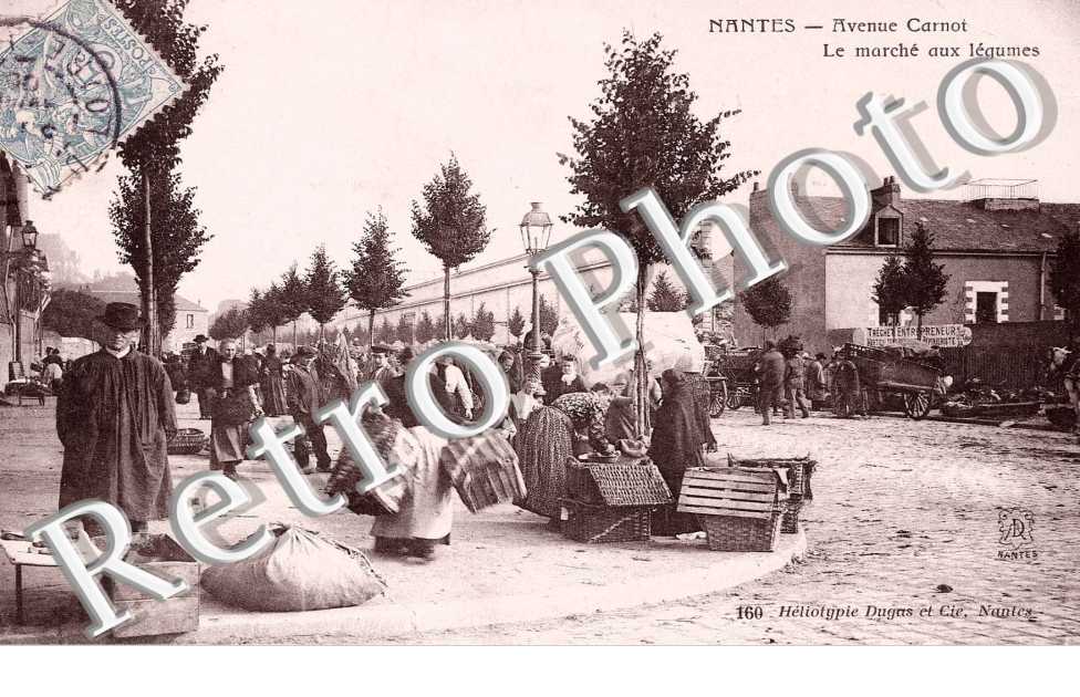 AVENUE CARNOT - LE MARCHE AUX LEGUMES