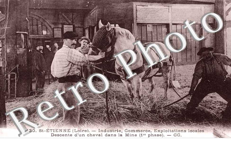 descente d'un cheval dans la mine