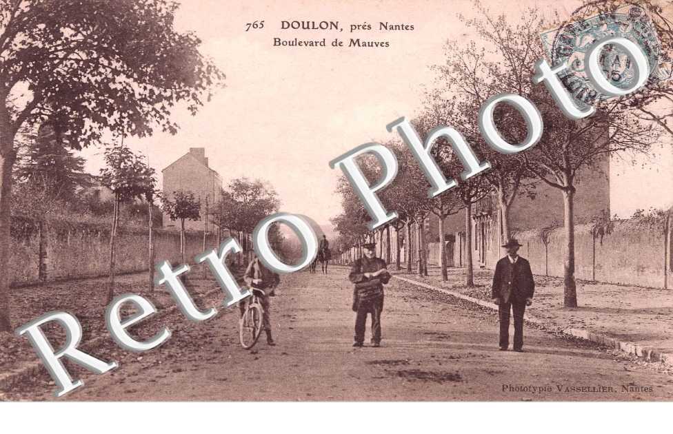 DOULON - BOULEVARD DES MAUVES