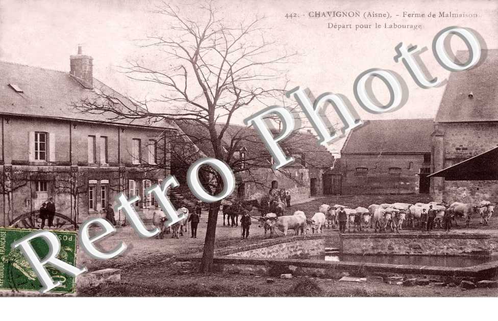 Ferme de Malmaison - Depart pour le labourage
