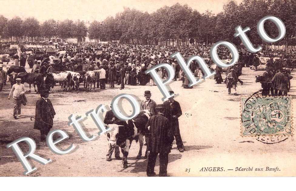 marche aux boeufs