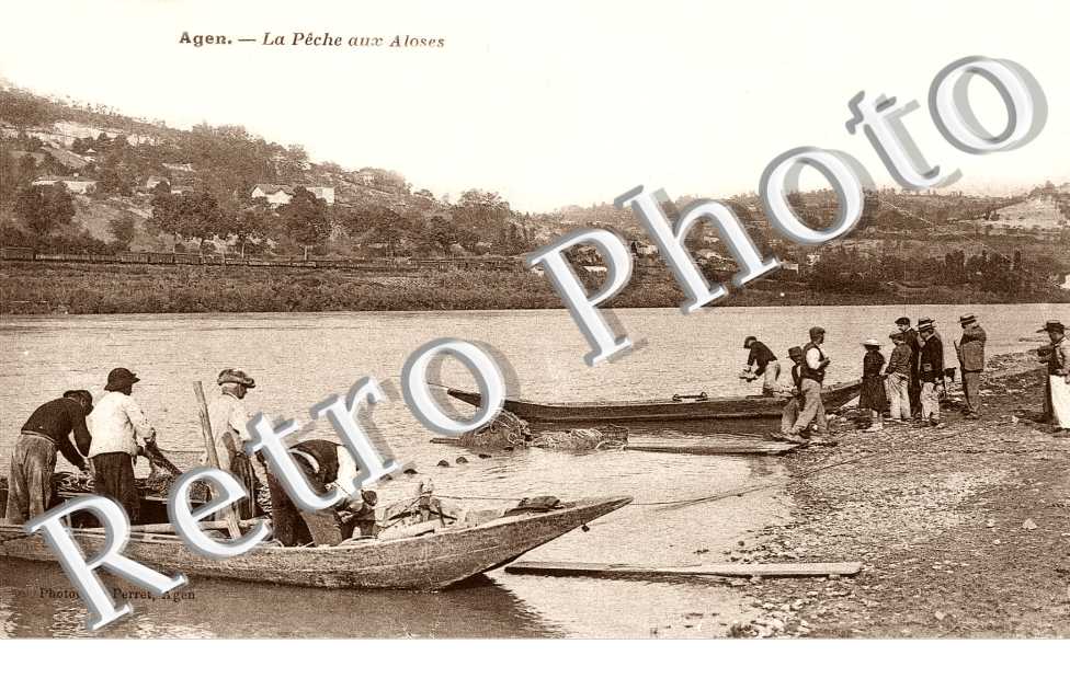 la Peche aux Aloses