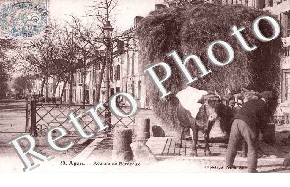 Avenue de Bordeaux