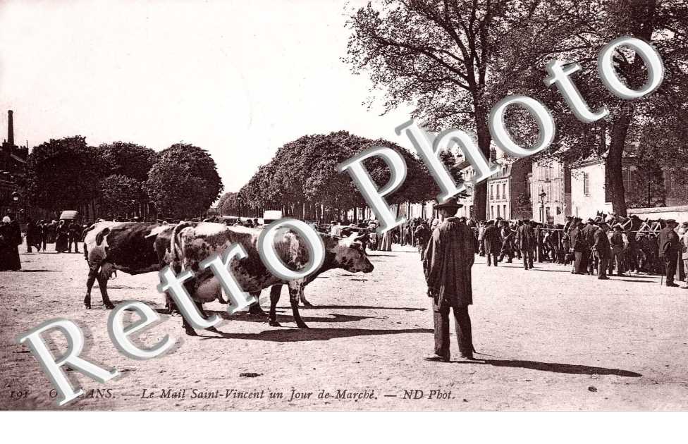 Le Mail Saint Vincent un Jour de Marché
