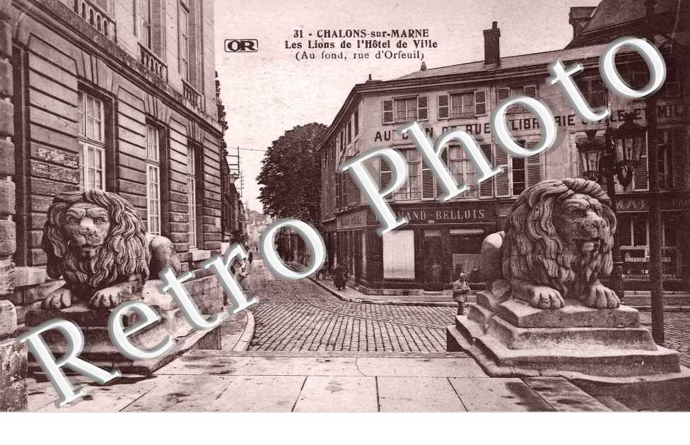 LES LIONS