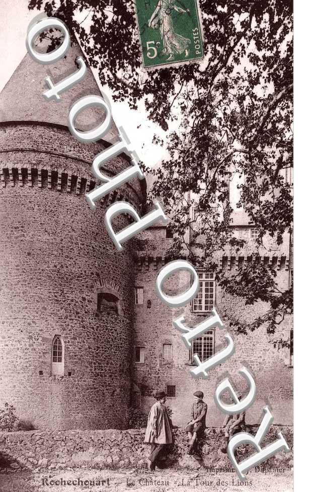 Le Château - La Tour des Lions
