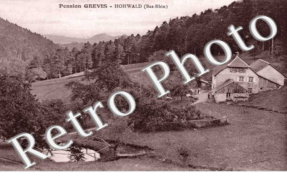 PENSION GREVIS