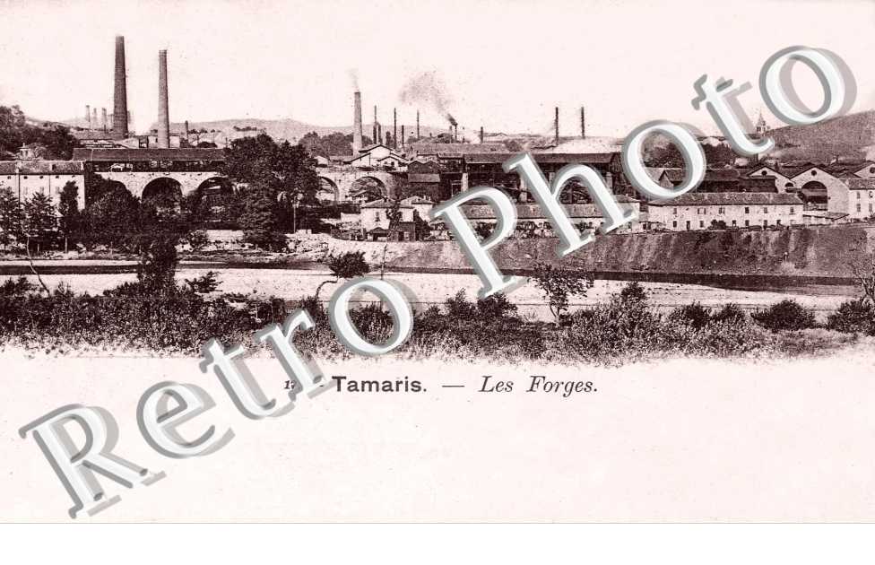 TAMARIS - Les Forges
