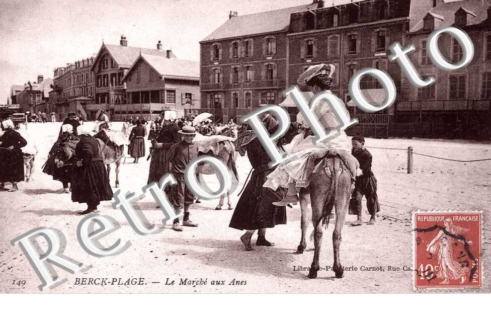 le marche aux anes